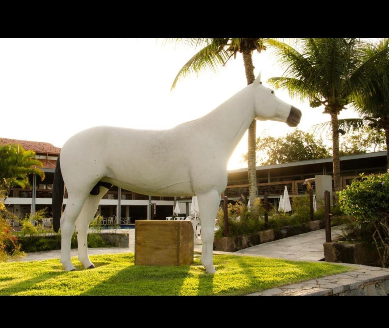 Portal De Ate 6 Pessoas - Terreo * Gravata (Gravata, Pernambuco)